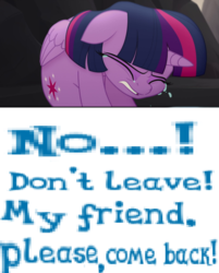 Size: 756x942 | Tagged: safe, artist:horsesplease, gameloft, twilight sparkle, alicorn, pony, g4, my little pony: the movie, bronybait, caption, crying, expand dong, exploitable meme, female, image macro, immortality blues, lonely, meme, no i can't i ruined everything, sad, solo, twilight sparkle (alicorn)