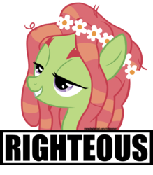 Size: 1500x1713 | Tagged: safe, artist:mitconnors, tree hugger, earth pony, pony, g4, female, floral head wreath, flower, mare, righteous, simple background, solo, text, transparent background