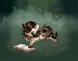 Size: 1024x806 | Tagged: safe, artist:s-locon, oc, oc only, oc:pacific pine, pegasus, pony, book, cute, female, grass, mare, ocbetes, prone, reading, smiling, tree