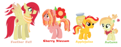 Size: 1408x546 | Tagged: safe, artist:hazardous-andy, oc, oc only, oc:applejuice, oc:autumn leaves, oc:cherry blossom, oc:featherwing fall, earth pony, pegasus, pony, base used, braid, clothes, colored wings, colored wingtips, colt, dreadlocks, female, filly, freckles, gradient wings, male, mare, neckerchief, offspring, parent:big macintosh, parent:fluttershy, parents:fluttermac, pigtails, scarf, siblings, simple background, stallion, transparent background, twintails