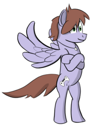 Size: 1816x2364 | Tagged: safe, artist:seikenryu, derpibooru exclusive, oc, oc only, oc:joshpony, oc:poniton, pegasus, pony, bipedal, jewelry, necklace, simple background, transparent background
