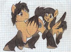 Size: 3841x2783 | Tagged: safe, artist:pollito15, oc, oc only, oc:jennifer miranda, pegasus, pony, duo, father and daughter, female, graph paper, high res, lined paper, male, mare, stallion, traditional art, two toned wings
