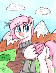 Size: 5064x6599 | Tagged: safe, artist:pollito15, oc, oc only, oc:kailly, pegasus, pony, absurd resolution, clothes, female, mare, solo, sweater, traditional art, two toned wings