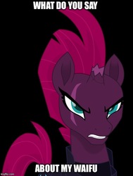 Size: 500x660 | Tagged: safe, edit, tempest shadow, pony, g4, my little pony: the movie, angry, black background, eye scar, female, mare, reaction image, scar, simple background, solo, text