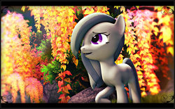 Size: 1920x1188 | Tagged: safe, artist:skilm, marble pie, earth pony, pony, g4, 3d, beautiful, cute, female, forest, grass, leaves, marblebetes, rock, scenebuild, solo, source filmmaker