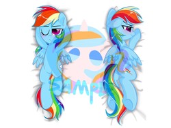 Size: 2048x1536 | Tagged: safe, artist:oofycolorful, rainbow dash, pegasus, pony, g4, blushing, body pillow, body pillow design, butt, female, mare, obtrusive watermark, one eye closed, plot, solo, watermark, wink
