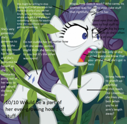 Size: 1110x1085 | Tagged: safe, edit, edited screencap, screencap, mean rarity, pony, unicorn, g4, the mean 6, 10/10, analysis, bronybait, clone, cropped, faic, female, mare, solo, text