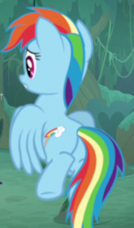 Size: 378x645 | Tagged: safe, screencap, rainbow dash, pegasus, pony, g4, the mean 6, butt, cropped, female, mare, plot, rainbutt dash, solo