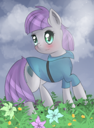 Size: 774x1055 | Tagged: safe, artist:brok-enwings, maud pie, earth pony, pony, g4, blushing, cloud, female, flower, grass, mare, sky, solo