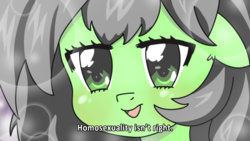 Size: 1280x720 | Tagged: safe, artist:lockhe4rt, oc, oc only, oc:filly anon, pony, ear fluff, female, filly, floppy ears, fushigi na somera-chan, head, homophobia, lens flare, op is a duck, open mouth, smiling, solo, straight, trace, tradition