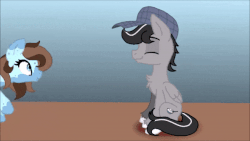 Size: 600x338 | Tagged: safe, oc, oc only, oc:chopsticks, oc:willow glaze, pegasus, pony, animated, boop, clothes, dialogue, female, flying, gif, hat, imminent boop, imminent non-consensual booping, male, sign, spread wings, stallion, tongue out, wingboner, wings