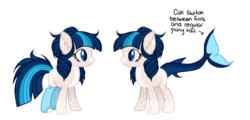 Size: 1024x493 | Tagged: safe, artist:mintoria, oc, oc only, oc:nightly waters, original species, shark pony, clothes, female, show accurate, simple background, socks, solo, transparent background