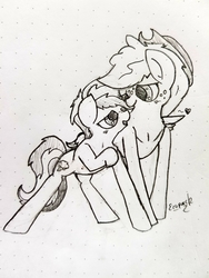 Size: 3024x4032 | Tagged: safe, artist:ezupack, applejack, rainbow dash, g4, bedroom eyes, blushing, cuddling, cute, female, lesbian, ship:appledash, shipping, sketch, wing blanket