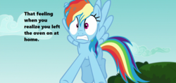 Size: 1280x608 | Tagged: safe, edit, edited screencap, screencap, rainbow dash, pony, every little thing she does, g4, season 6, airborne, cloud, cropped, female, freaking out, messy hair, shrunken pupils, solo, text, tfw, this will end in fire, this will not end well, tree, uh oh