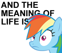 Size: 251x216 | Tagged: safe, rainbow dash, g4, grannies gone wild, meme