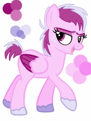 Size: 768x1024 | Tagged: safe, artist:tikimillie, oc, oc only, oc:rose, pegasus, pony, female, mare, reference sheet, show accurate, solo