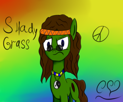 Size: 1500x1250 | Tagged: safe, artist:chet_volaner, oc, oc only, oc:shady grass, pony, amulet, angry, hippie, looking at you, peace sign, solo