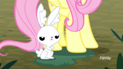 Size: 1920x1080 | Tagged: safe, screencap, angel bunny, fluttershy, g4, my little pony: friendship is magic, yakity-sax, discovery family logo, ear plugs