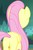 Size: 709x1078 | Tagged: safe, screencap, fluttershy, pegasus, pony, g4, yakity-sax, butt, cropped, female, mare, plot, rear view, solo