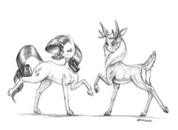 Size: 1400x1022 | Tagged: safe, artist:baron engel, rarity, velvet (tfh), unicorn, them's fightin' herds, cloven hooves, dock, female, grayscale, mare, monochrome, pencil drawing, raised hoof, simple background, sketch, smiling, traditional art, white background