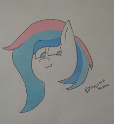 Size: 2204x2384 | Tagged: safe, artist:pegasusspectra, oc, oc only, oc:pegasus spectra, pony, high res, solo, traditional art