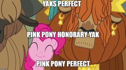 Size: 888x499 | Tagged: safe, edit, edited screencap, screencap, pinkie pie, prince rutherford, yak, g4, not asking for trouble, cute, image macro, logic, meme, syllogism, unnamed character, unnamed yak