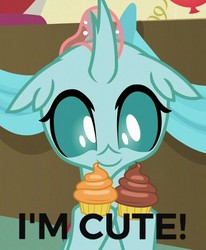 Size: 589x715 | Tagged: safe, edit, edited screencap, screencap, ocellus, changedling, changeling, g4, marks for effort, captain obvious, cropped, cupcake, cute, diaocelles, female, food, i'm cute, solo, truth