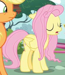 Size: 330x379 | Tagged: safe, screencap, applejack, fluttershy, earth pony, pegasus, pony, g4, yakity-sax, cropped, horses doing horse things, messy mane, sleeping, sleeping while standing
