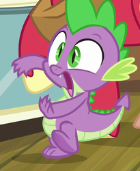 Size: 589x720 | Tagged: safe, screencap, big macintosh, spike, dragon, earth pony, pony, g4, the break up breakdown, claws, cropped, male, offscreen character, shocked, stallion, tail