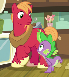 Size: 560x621 | Tagged: safe, screencap, big macintosh, spike, dragon, pony, g4, the break up breakdown, cropped, male, stallion