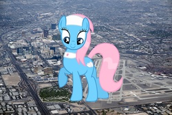 Size: 1400x934 | Tagged: safe, artist:jerryakira79, lotus blossom, earth pony, pony, g4, giant pony, highrise ponies, irl, macro, photo, ponies in real life, solo