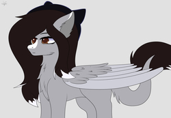 Size: 3114x2160 | Tagged: safe, artist:drarkusss0, oc, oc only, oc:crying eyes, pegasus, pony, female, fluffy, high res, solo, tail