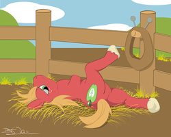 Size: 1000x800 | Tagged: safe, artist:sherwood, big macintosh, earth pony, pony, g4, anatomically incorrect, cute, fence, hay, horse collar, horses doing horse things, incorrect leg anatomy, lazy, looking at you, macabetes, male, on back, relaxing, solo, stallion, underhoof