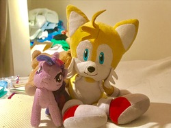 Size: 4032x3024 | Tagged: safe, artist:fiddlerchipmunk, twilight sparkle, fox, pony, unicorn, g4, crossover, irl, male, miles "tails" prower, photo, plushie, shipping, sonic the hedgehog (series), twitails