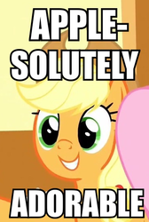 Size: 366x544 | Tagged: safe, edit, edited screencap, screencap, applejack, fluttershy, earth pony, pegasus, pony, g4, yakity-sax, apple-solutely, applejack's hat, cowboy hat, cropped, cute, female, hat, image macro, jackabetes, mare, meme, pun, smiling, solo focus