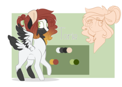 Size: 4322x3100 | Tagged: safe, artist:k-indle, oc, oc only, oc:torie, pegasus, pony, augmented tail, colt, male, reference sheet, simple background, solo, tail feathers, transparent background