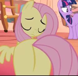 Size: 1019x989 | Tagged: safe, screencap, fluttershy, twilight sparkle, bridle gossip, g4, butt, cropped, flutterbutt, golden oaks library, out of context, plot, twilight flopple