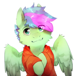 Size: 856x850 | Tagged: safe, artist:suplolnope, oc, oc only, oc:gusty breeze, pegasus, pony, clothes, cute, fluffy, looking at you, male, raised hoof, simple background, solo, spread wings, stallion, transparent background, wings