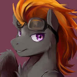 Size: 2480x2480 | Tagged: safe, oc, oc only, oc:aj, pegasus, pony, bust, goggles, high res, male, solo, stallion