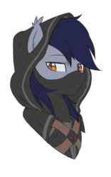 Size: 861x1381 | Tagged: safe, artist:wildrose, oc, oc only, oc:speck daelyn, bat pony, pony, bat pony oc, bust, cloak, clothes, coat, dungeons and dragons, ear tufts, face mask, fantasy class, frown, glare, hood, lidded eyes, looking at you, male, mask, pen and paper rpg, rogue, rpg, simple background, solo, stallion