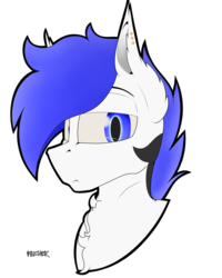 Size: 2000x2500 | Tagged: safe, artist:caduceus, artist:caduceusart, oc, oc only, pony, bust, high res, portrait, simple background, solo, transparent background