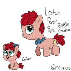 Size: 768x768 | Tagged: safe, artist:mrcookie45, oc, oc only, oc:lotus pear, earth pony, pony, bowtie, female, filly, freckles, offspring, parent:big macintosh, parent:cheerilee, parents:cheerimac, simple background, solo, white background