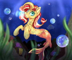 Size: 800x667 | Tagged: safe, artist:laurabaggins, sunset shimmer, mermaid, merpony, seapony (g4), g4, angler seapony, bubble, clothes, crepuscular rays, female, fish tail, mermaidized, ocean, seaponified, seapony sunset, smiling, solo, species swap, tail, underwater, underwear, water