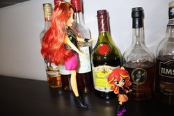 Size: 6000x4000 | Tagged: safe, artist:artofmagicpoland, sunset shimmer, equestria girls, g4, my little pony equestria girls: better together, alcohol, doll, duality, equestria girls minis, female, irl, photo, reboot series, toy, whiskey