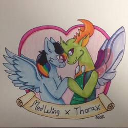Size: 2448x2448 | Tagged: safe, artist:critter_customs, thorax, oc, oc:medwing, changedling, changeling, pegasus, pony, g4, canon x oc, chest fluff, freckles, gay, glasses, high res, interspecies, king thorax, male, medax, rainbow hair, shipping, traditional art
