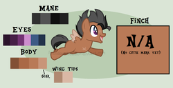 Size: 1506x771 | Tagged: safe, artist:ipandacakes, oc, oc only, oc:finch, pony, adopted offspring, amputee, colt, male, parent:apple bloom, parent:tender taps, parents:tenderbloom, reference sheet, solo