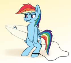 Size: 945x841 | Tagged: safe, artist:firenhooves, rainbow dash, pony, g4, belly, cheek fluff, chest fluff, cute, ear fluff, female, leash, simple background, smiling, solo, surfboard, surfing