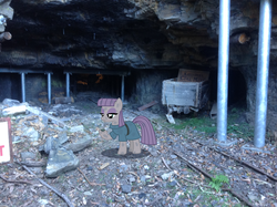 Size: 1024x765 | Tagged: safe, artist:didgereethebrony, boulder (g4), maud pie, g4, blue mountains, coal, didgeree collection, dusty, female, katoomba, mine, mlp in australia, solo