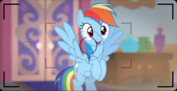 Size: 2500x1291 | Tagged: safe, gameloft, screencap, rainbow dash, g4, cheese!, happy, picture