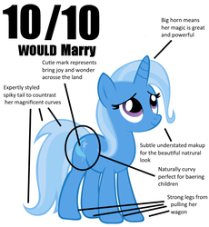 Size: 551x600 | Tagged: safe, trixie, pony, unicorn, g4, 10/10, 4chan, best pony, female, happy, looking up, mare, marry, meme, misspelling, simple background, solo, text, waifu, white background